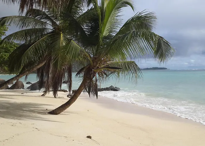 Apartmán East Horizon Self Catering Au Cap (Mahe)